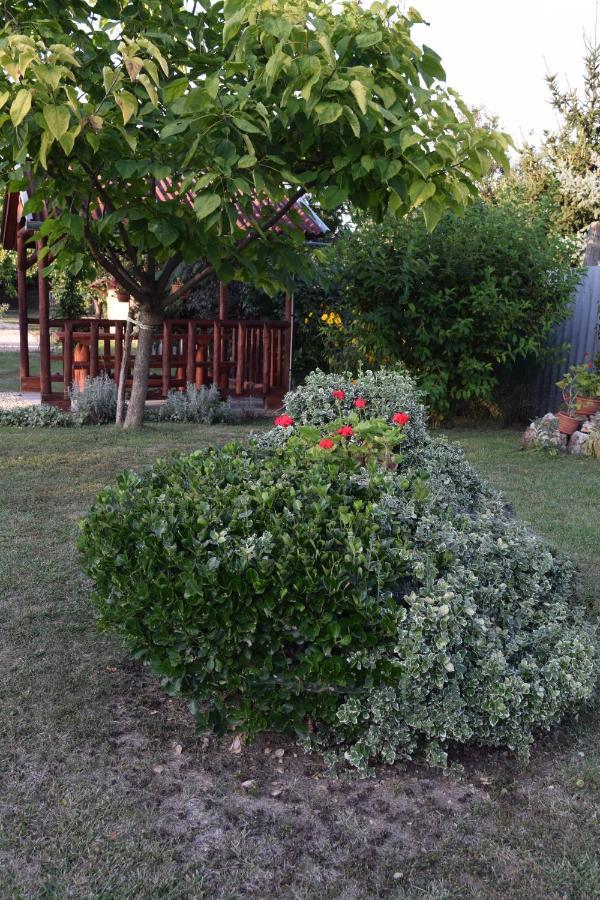 Prokop Vendégház Tolcsva Exterior foto